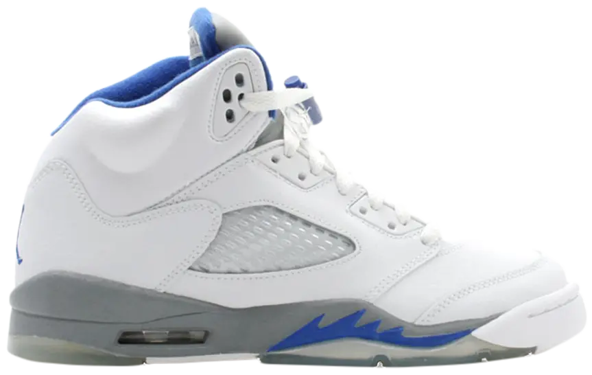 Jordan 5 Stealth (GS)