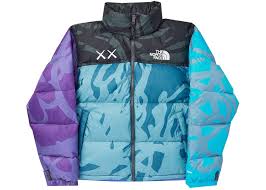 Kaws North Face Puffer